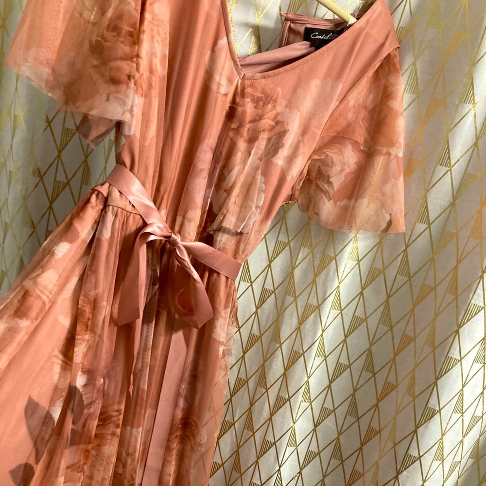 Long sheer Maxi Dress